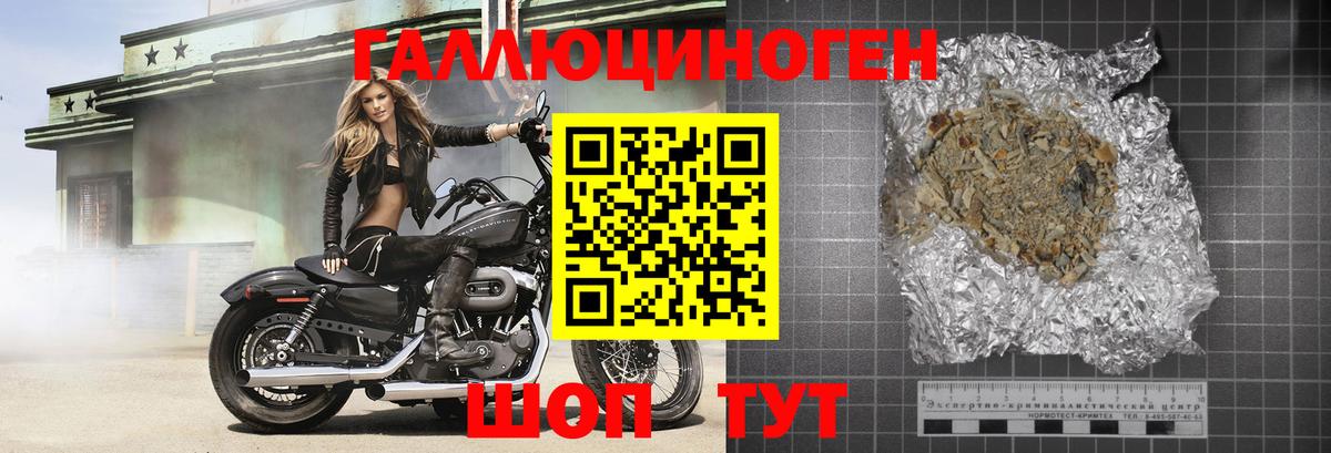 Псилоцибиновые грибы прущие грибы Луга