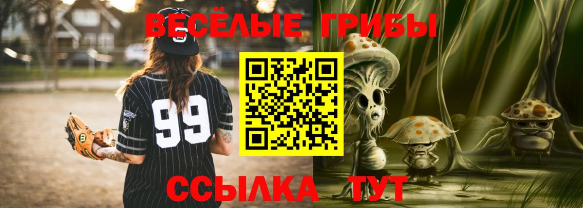 купить наркотики сайты  Вход с VPN  Луга  Псилоцибиновые грибы мицелий  Галлюциногенные грибы прущие грибы 
