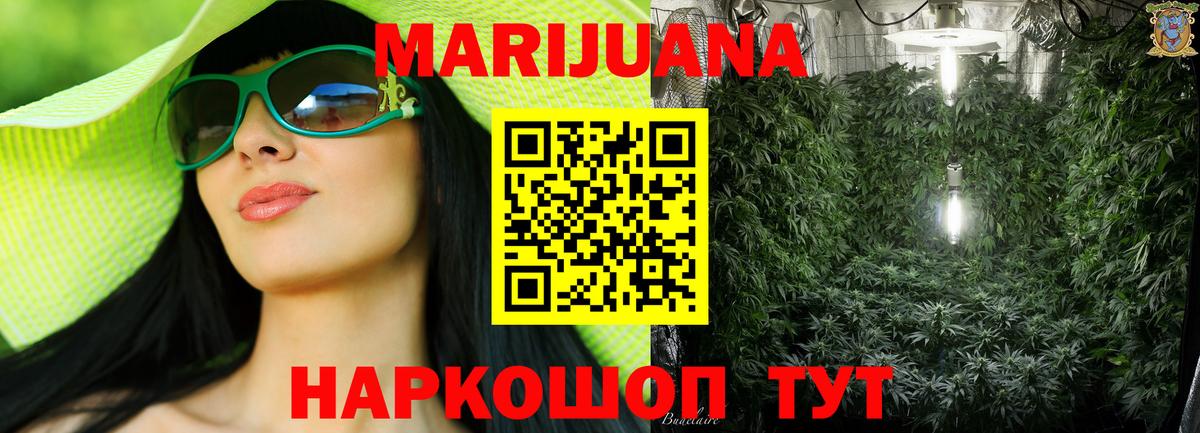 Конопля план  Вход с VPN  Шишки марихуана сатива  Луга 